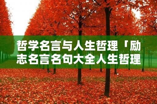 哲学名言与人生哲理「励志名言名句大全人生哲理」