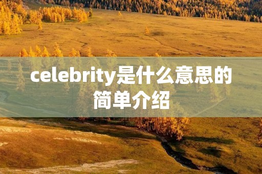 celebrity是什么意思的简单介绍