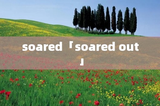 soared「soared out」