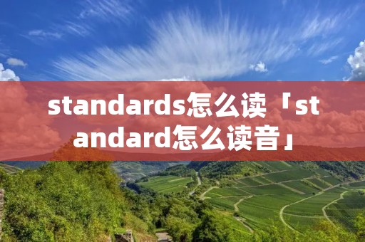 standards怎么读「standard怎么读音」