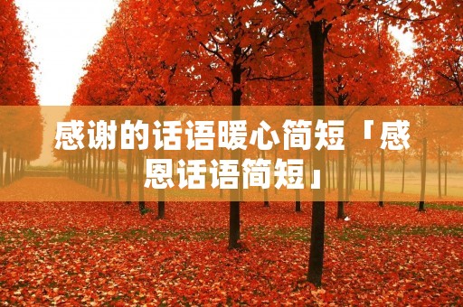 感谢的话语暖心简短「感恩话语简短」