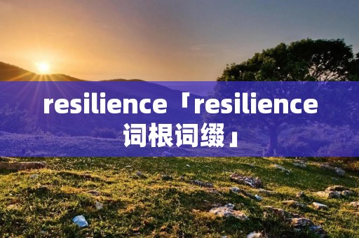 resilience「resilience词根词缀」 resilience「resilience词根词缀」