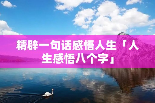 精辟一句话感悟人生「人生感悟八个字」