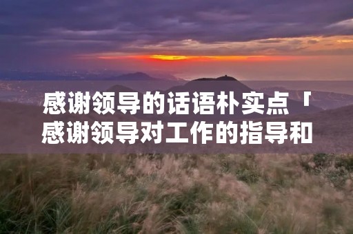 感谢领导的话语朴实点「感谢领导对工作的指导和帮助」