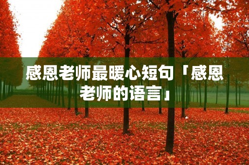 感恩老师最暖心短句「感恩老师的语言」