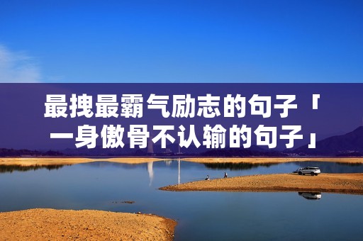 最拽最霸气励志的句子「一身傲骨不认输的句子」