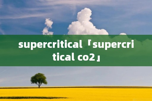 supercritical「supercritical co2」