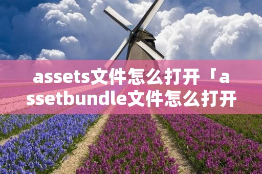 assets文件怎么打开「assetbundle文件怎么打开」