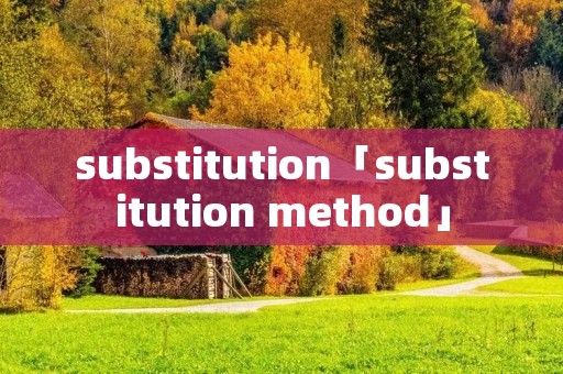 substitution「substitution method」