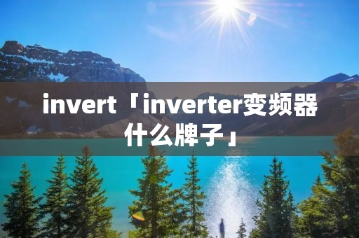 invert「inverter变频器什么牌子」