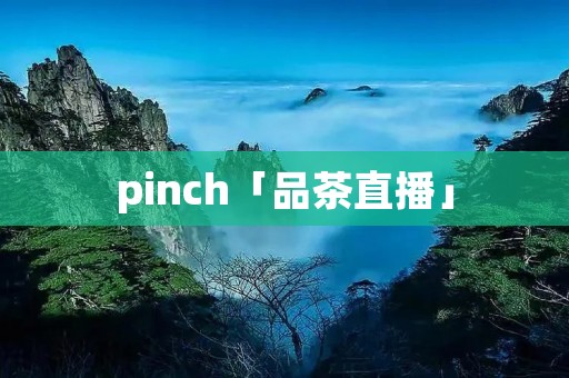 pinch「品茶直播」