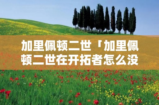 加里佩顿二世「加里佩顿二世在开拓者怎么没打了」