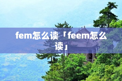 fem怎么读「feem怎么读」