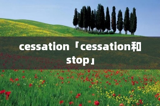 cessation「cessation和stop」