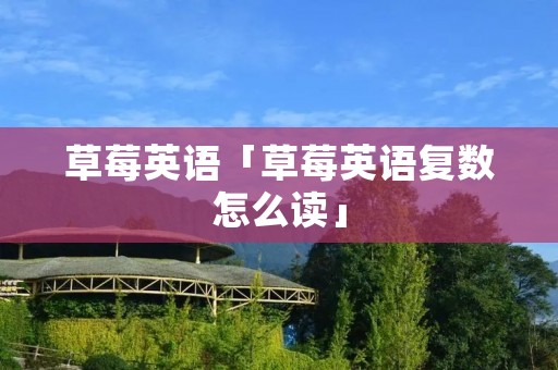 草莓英语「草莓英语复数怎么读」