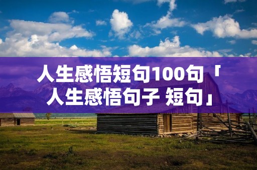 人生感悟短句100句「人生感悟句子 短句」