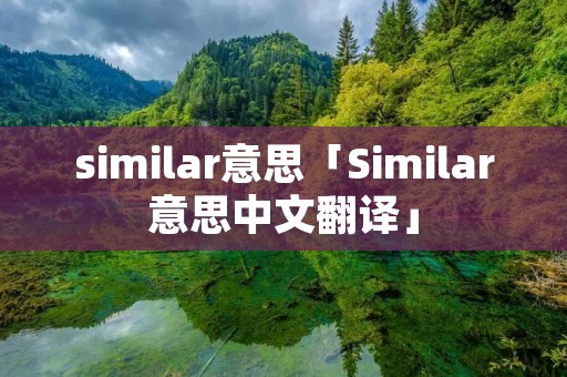 similar意思「Similar意思中文翻译」