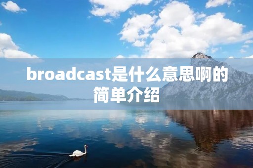 broadcast是什么意思啊的简单介绍 broadcast是什么意思啊的简单介绍