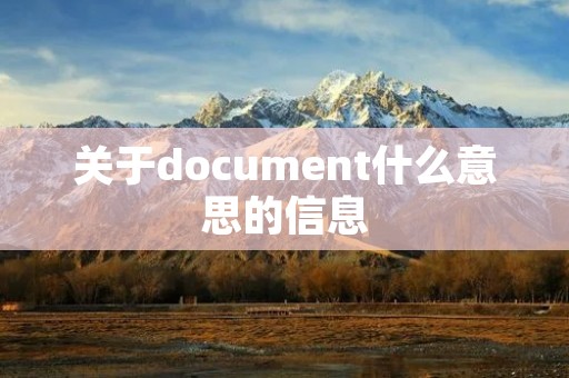 关于document什么意思的信息