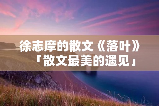 徐志摩的散文《落叶》「散文最美的遇见」