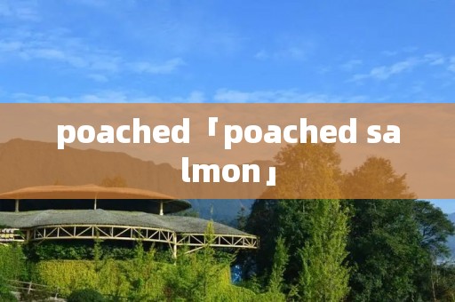 poached「poached salmon」