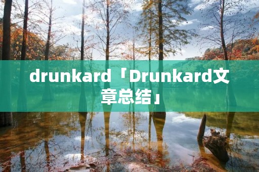 drunkard「Drunkard文章总结」