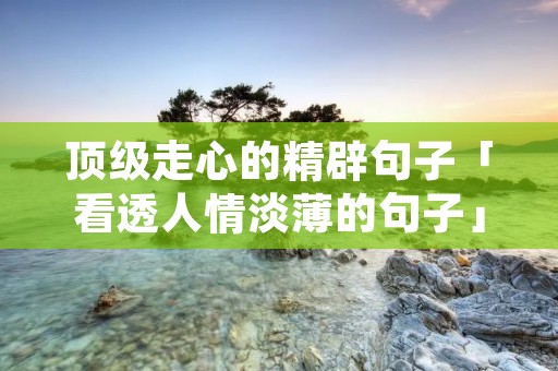 顶级走心的精辟句子「看透人情淡薄的句子」