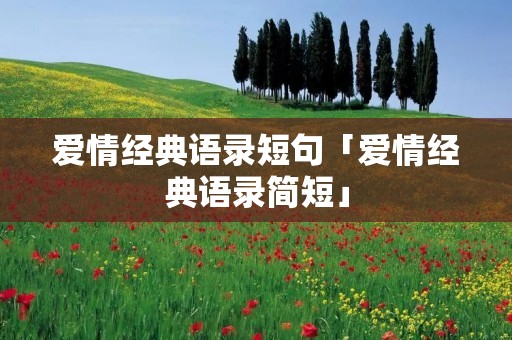 爱情经典语录短句「爱情经典语录简短」