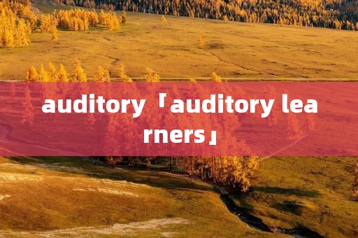 auditory「auditory learners」
