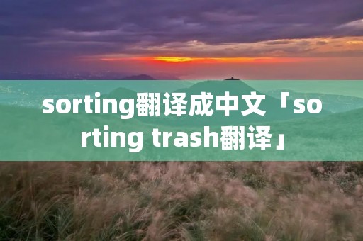 sorting翻译成中文「sorting trash翻译」 sorting翻译成中文「sorting trash翻译」