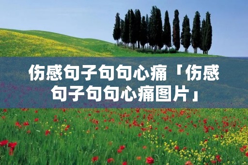伤感句子句句心痛「伤感句子句句心痛图片」