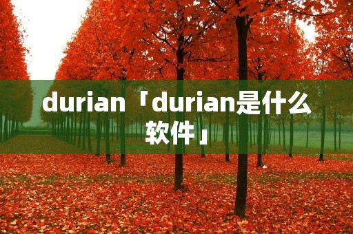 durian「durian是什么软件」