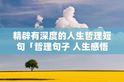 精辟有深度的人生哲理短句「哲理句子 人生感悟」
