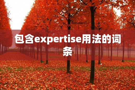 包含expertise用法的词条 包含expertise用法的词条