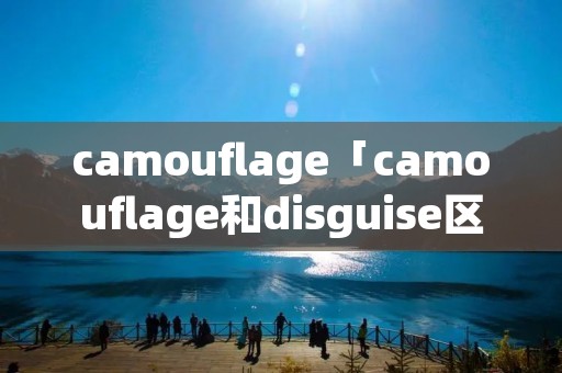 camouflage「camouflage和disguise区别」 camouflage「camouflage和disguise区别」