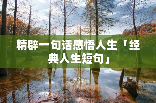 精辟一句话感悟人生「经典人生短句」 精辟一句话感悟人生「经典人生短句」