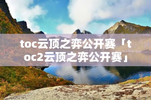 toc云顶之弈公开赛「toc2云顶之弈公开赛」