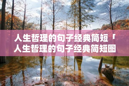 人生哲理的句子经典简短「人生哲理的句子经典简短图片」
