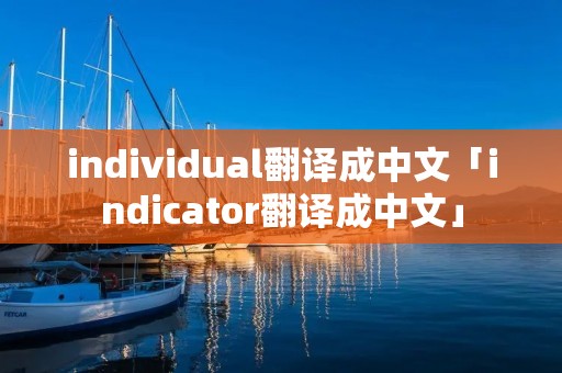 individual翻译成中文「indicator翻译成中文」