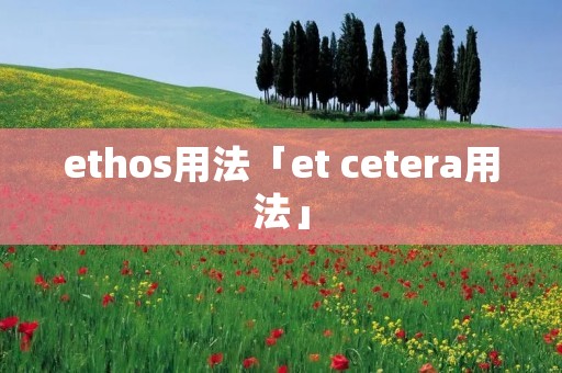 ethos用法「et cetera用法」