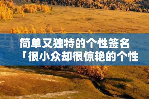 简单又独特的个性签名「很小众却很惊艳的个性签名」