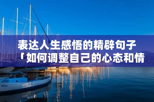 表达人生感悟的精辟句子「如何调整自己的心态和情绪」