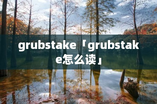 grubstake「grubstake怎么读」