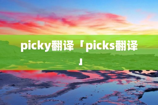 picky翻译「picks翻译」