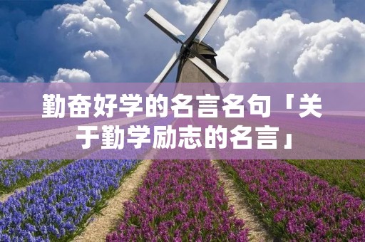 勤奋好学的名言名句「关于勤学励志的名言」