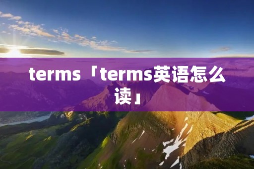 terms「terms英语怎么读」