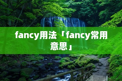 fancy用法「fancy常用意思」