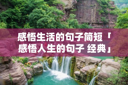 感悟生活的句子简短「感悟人生的句子 经典」