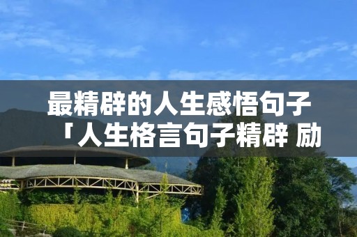 最精辟的人生感悟句子「人生格言句子精辟 励志」