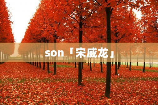 son「宋威龙」
